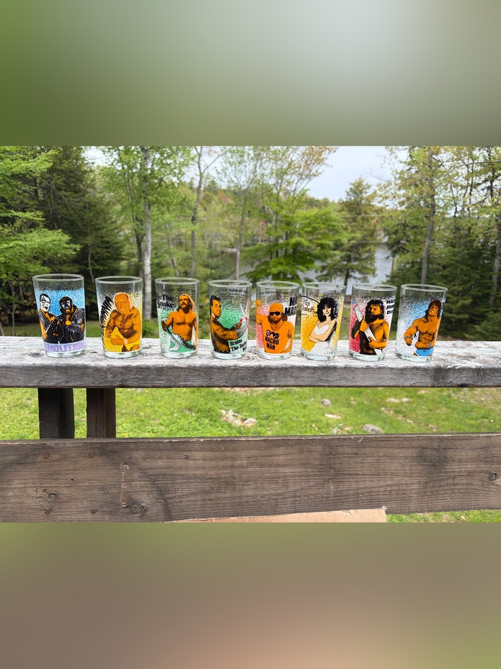 8 Vintage WWF Drinking Glasses Complete Set 1988 Rare Canada WWF Hulk Hogan